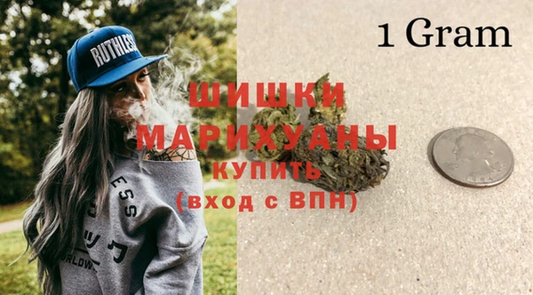 молекула духа Верхний Тагил