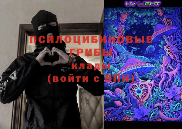 молекула духа Верхний Тагил