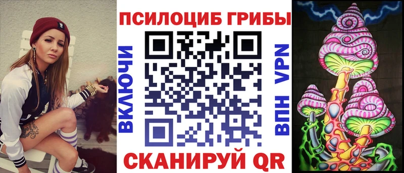 Псилоцибиновые грибы GOLDEN TEACHER  Купить закладки  Элиста 